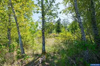 2414 Next To Main St, Sweet Home, OR 97386 - Photo 23