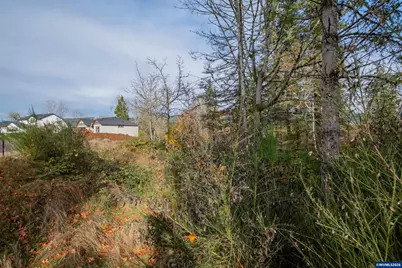 1401 45th Av, Sweet Home, OR 97386 - Photo 27