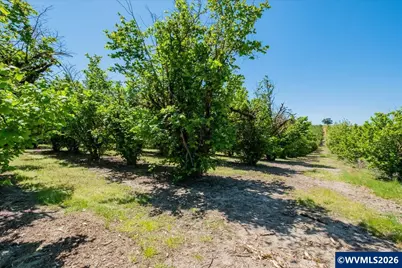 Ta 228833 55th Av NW, Salem, OR 97304 - Photo 23