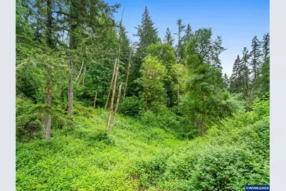 16110 S Maplelane Rd, Oregon City, OR 97045 - Photo 47