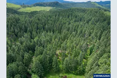 23161 Old Peak Rd, Philomath, OR 97370 - Photo 45