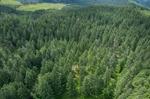23161 Old Peak Rd, Philomath, OR 97370 - Photo 45