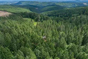 23161 Old Peak Rd, Philomath, OR 97370 - Photo 47