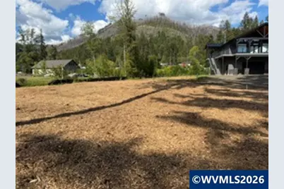310 Detroit (Next To) Rd S, Detroit, OR 97342 - Photo 5