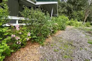 54841 McKenzie River Dr, Blue River, OR 97413 - Photo 47