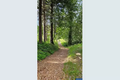 54841 McKenzie River Dr, Blue River, OR 97413 - Photo 31