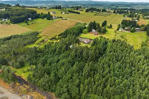 9350 SE 3 Trees Ln, Amity, OR 97101 - Photo 43