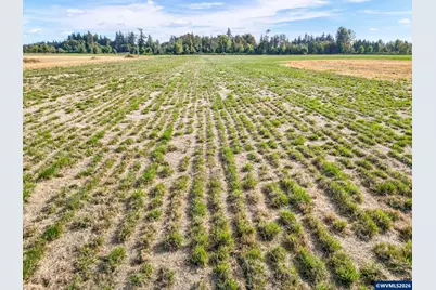 12984 Elliott Prairie (-13144) Rd NE, Woodburn, OR 97071 - Photo 37
