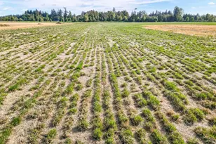 12984 Elliott Prairie (-13144) Rd NE, Woodburn, OR 97071 - Photo 37