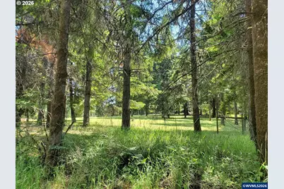 1401 Reuben Boise Rd, Dallas, OR 97338 - Photo 47