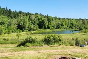 3810 Limestone Rd, Dallas, OR 97338 - Photo 11