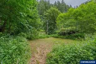 27059 Cecil Ln, Alsea, OR 97324 - Photo 39