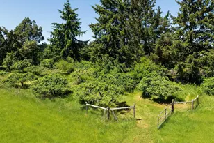 27777 Snyder Rd, Junction City, OR 97448 - Photo 47