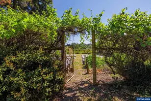 27777 Snyder Rd, Junction City, OR 97448 - Photo 43