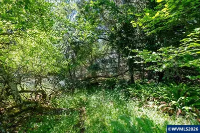 Southwood Lot #12 Ct SE, Jefferson, OR 97352 - Photo 29