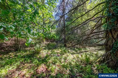 Southwood Lot #12 Ct SE, Jefferson, OR 97352 - Photo 25