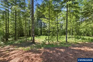 19850 Winters Hill Rd SE, Silverton, OR 97381 - Photo 41
