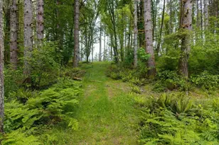 17024 Bratten Hill, Alsea, OR 97324 - Photo 13