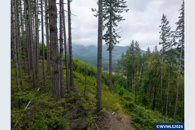 17024 Bratten Hill, Alsea, OR 97324 - Photo 11