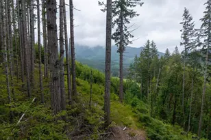 17024 Bratten Hill, Alsea, OR 97324 - Photo 11