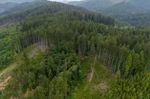 17024 Bratten Hill, Alsea, OR 97324 - Photo 9