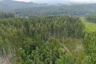 17024 Bratten Hill, Alsea, OR 97324 - Photo 7