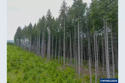17024 Bratten Hill, Alsea, OR 97324 - Photo 15