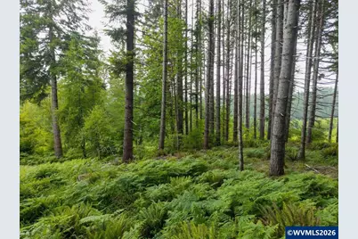 17024 Bratten Hill, Alsea, OR 97324 - Photo 33