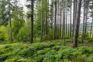 17024 Bratten Hill, Alsea, OR 97324 - Photo 33