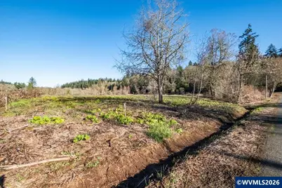 2531 Ballyntyne Rd S, Salem, OR 97302 - Photo 3