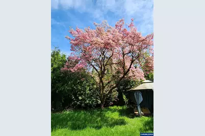 1127 NW 18th St, Corvallis, OR 97330 - Photo 39