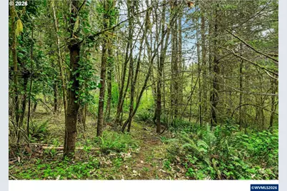 89879 Sheffler Rd, Elmira, OR 97437 - Photo 35