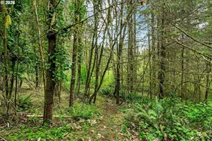 89879 Sheffler Rd, Elmira, OR 97437 - Photo 35