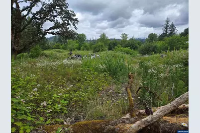 Tl 2801 2802 Cascade Dr, Lebanon, OR 97355 - Photo 3