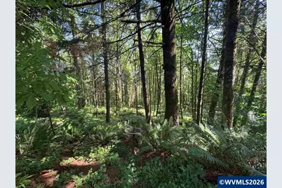 6100 Teal Creek Rd, Dallas, OR 97338 - Photo 37