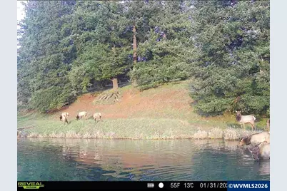 27085 Greenville Rd, Sweet Home, OR 97386 - Photo 45