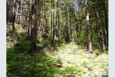 Lot 900 &amp; 1000 N Santiam Hwy, Idanha, OR 97350 - Photo 27