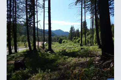 Lot 900 &amp; 1000 N Santiam Hwy, Idanha, OR 97350 - Photo 33