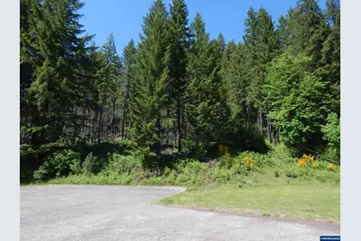 Lot 900 &amp; 1000 N Santiam Hwy, Idanha, OR 97350 - Photo 5