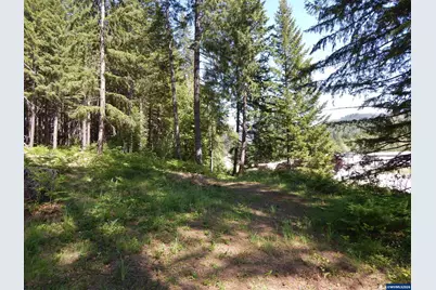 Lot 900 &amp; 1000 N Santiam Hwy, Idanha, OR 97350 - Photo 39
