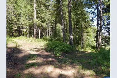 Lot 900 &amp; 1000 N Santiam Hwy, Idanha, OR 97350 - Photo 43