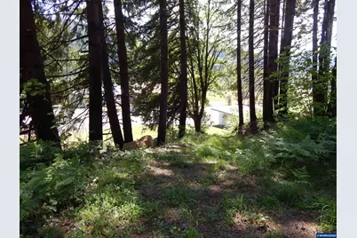 Lot 900 &amp; 1000 N Santiam Hwy, Idanha, OR 97350 - Photo 41