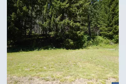 Lot 900 &amp; 1000 N Santiam Hwy, Idanha, OR 97350 - Photo 11