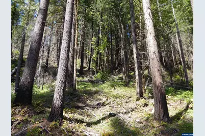 Lot 900 &amp; 1000 N Santiam Hwy, Idanha, OR 97350 - Photo 29