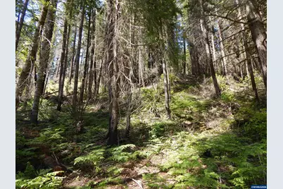 Lot 900 &amp; 1000 N Santiam Hwy, Idanha, OR 97350 - Photo 25