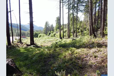 Lot 900 &amp; 1000 N Santiam Hwy, Idanha, OR 97350 - Photo 35