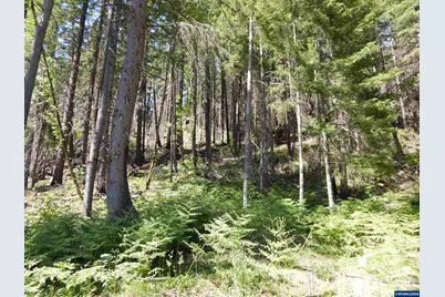 Lot 900 &amp; 1000 N Santiam Hwy, Idanha, OR 97350 - Photo 21