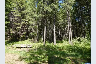 Lot 900 &amp; 1000 N Santiam Hwy, Idanha, OR 97350 - Photo 19