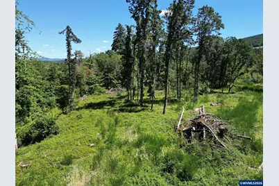 Tl 2702 &amp; 2703 S Cedar Mill Rd, Lyons, OR 97358 - Photo 13