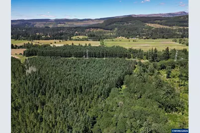 Tl 2702 &amp; 2703 S Cedar Mill Rd, Lyons, OR 97358 - Photo 5